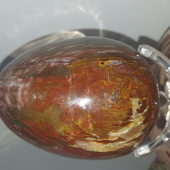 Petrified wood Egg - Picture 1 of 5